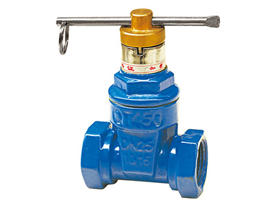 带锁丝扣软密封闸阀